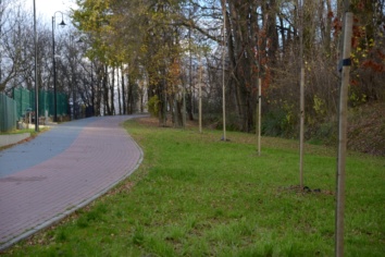 Nowa zieleń na Kolejce