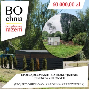 Uporządkowanie i uatrakcyjnienie terenów zielonych (osiedlowy: Karolina-Krzeczowska)