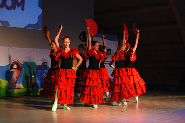 Dni Bochni 2014