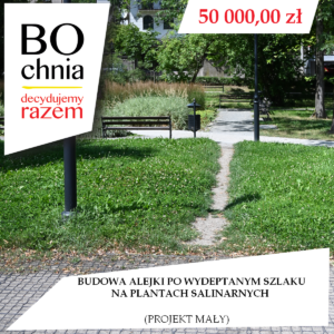 Budowa alejki po&nbsp;wydeptanym szlaku na&nbsp;Plantach Salinarnych