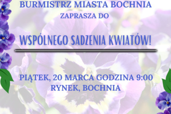 Wspólne sadzenie kwiatów na&nbsp;Rynku już w&nbsp;piątek