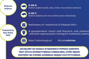 Badania ankietowe Urzędu Statystycznego na terenie Małopolski