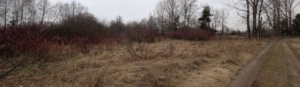 Niezabudowana nieruchomość gruntowa przy ul. Wygoda Niezabudowana nieruchomość gruntowa przy ul. Wygoda