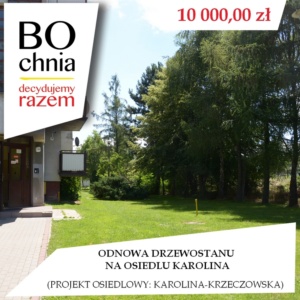 Odnowa drzewostanu na osiedlu Karolina (os. Karolina-Krzeczowska)