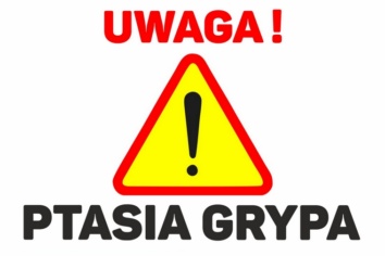 Zagrożenie wystąpienia wysoce zjadliwej grypy ptaków